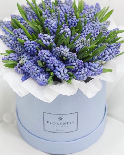 Коробка с мускари